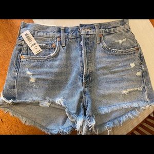 NWT Agolde Parker Swap Meet shorts